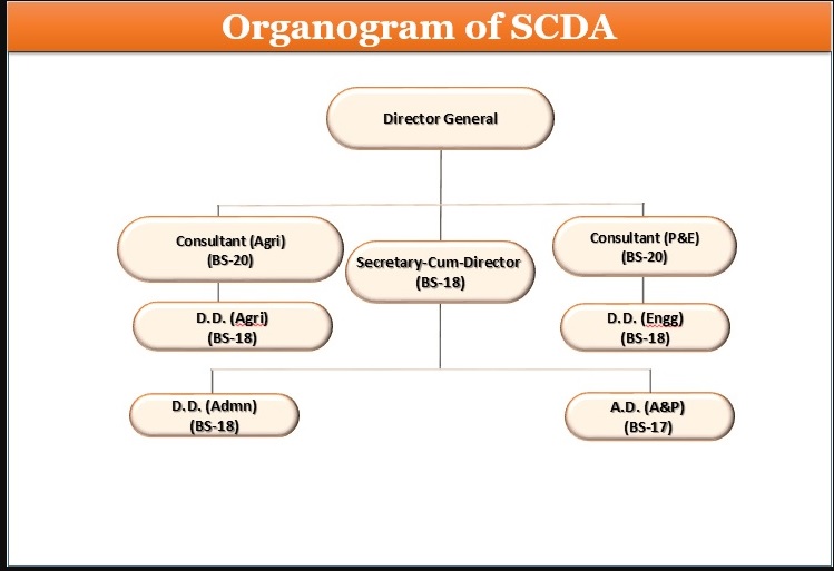 SCDA Organogram
